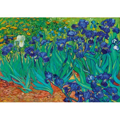 Puzzle Art-by-Bluebird-F-60208 Vincent Van Gogh - Irises, 1889