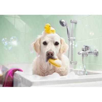 Puzzle Bluebird-Puzzle-70367 Bath Time