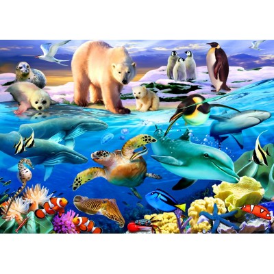 Puzzle Bluebird-Puzzle-70401 Oceans of Life