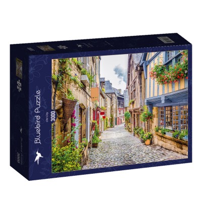 Puzzle Bluebird-Puzzle-70564-P Old City