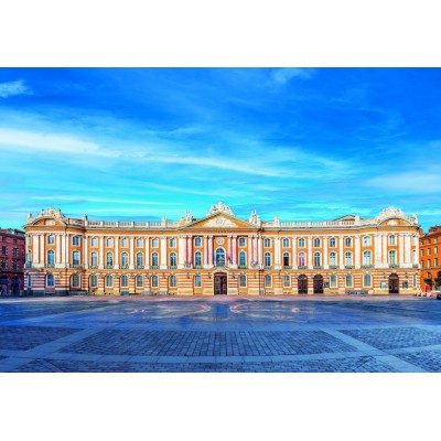 Puzzle Bluebird-Puzzle-F-90428 Toulouse - Capitole