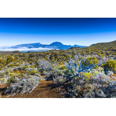 Puzzle Bluebird-Puzzle-F-90476 Piton des Neiges, La Réunion, France