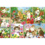 
						Puzzle  Bluebird-Puzzle-F-91014 