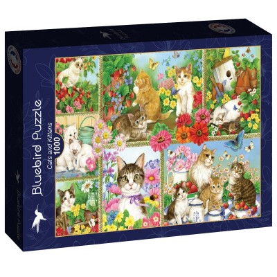 Puzzle Bluebird-Puzzle-F-91014 Chats et Chatons
