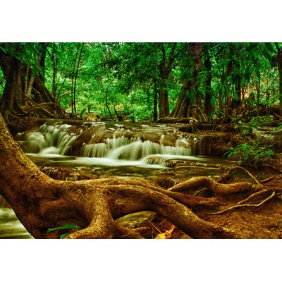 Puzzle Grafika-F-31040 Cascade dans la Forêt