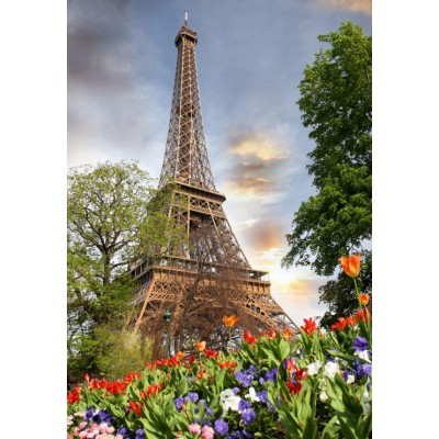 Puzzle Grafika-F-31091 Tour Eiffel, Paris