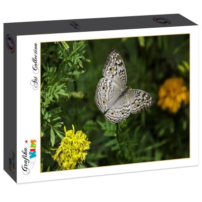 Puzzle Grafika-F-31127 Papillon et Œillets