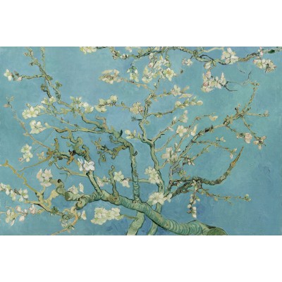 Puzzle Grafika-F-31733 Vincent van Gogh : Amandier en Fleurs, 1890