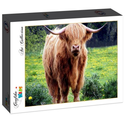 Puzzle Grafika-F-32022 Vache des Highlands
