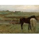 Edgar Degas : Chevaux dans un Pré, 1871