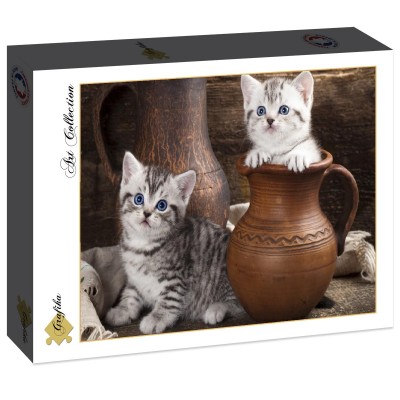 Puzzle Grafika-F-30274 Chatons en pots