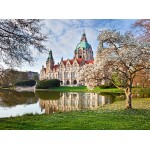 Puzzle  Grafika-F-30713 