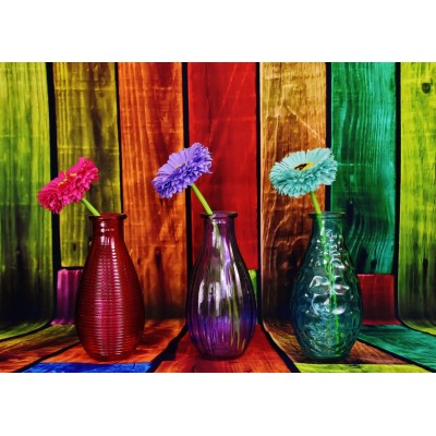 Puzzle Grafika-F-32263 Vases Fleuris et Colorés