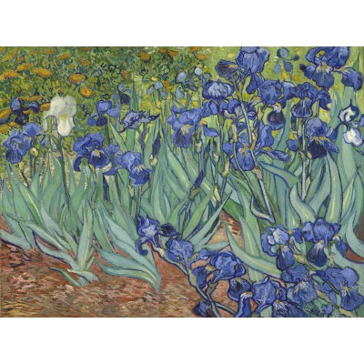 Puzzle Grafika-F-33320 Vincent Van Gogh - Les Iris, 1889