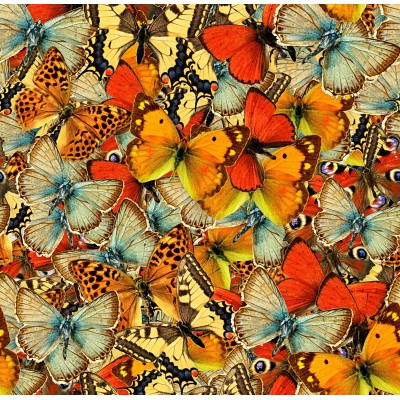 Puzzle Grafika-F-33458 Nuée de Papillons