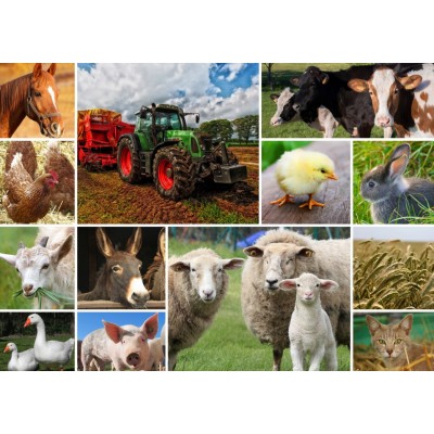 Puzzle Grafika-T-00142 Collage - Animaux de la Ferme