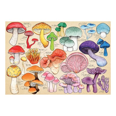 Puzzle House-Of-Puzzles-HP0710 La Manie Des Champignons