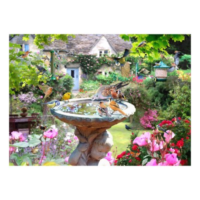 Puzzle House-Of-Puzzles-HP0728 Oiseaux D'Été