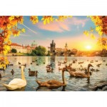 
						Puzzle  Magnolia-3504 