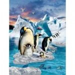 
						Puzzle  Sunsout-35149 