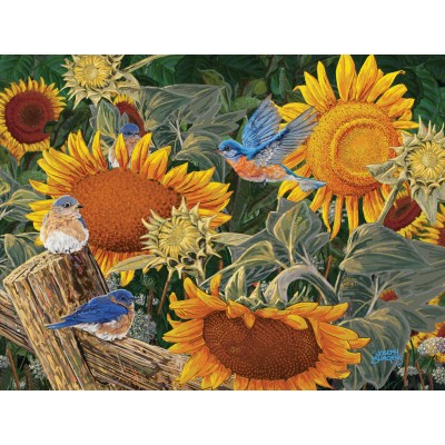 Puzzle Sunsout-38949 Pièces XXL - Parterre de Tournesols