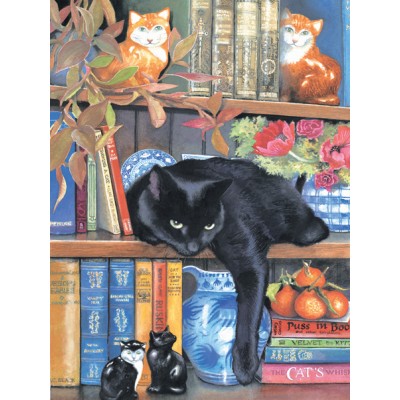 Puzzle Sunsout-CL59367 Chrissy Snelling - On the Shelf