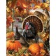 Pièces XXL - Dona Gelinger - Gobbler Farms