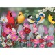 Pièces XXL - Songbirds and Cosmos